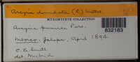 Image Associated With the Occurence